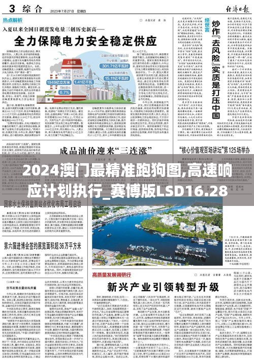 2024澳门最精准跑狗图,高速响应计划执行_赛博版LSD16.28