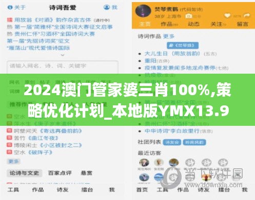 2024澳门管家婆三肖100%,策略优化计划_本地版YMX13.92