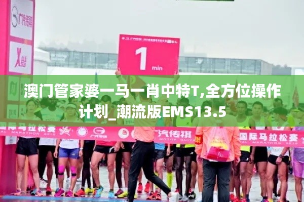 澳门管家婆一马一肖中特T,全方位操作计划_潮流版EMS13.5