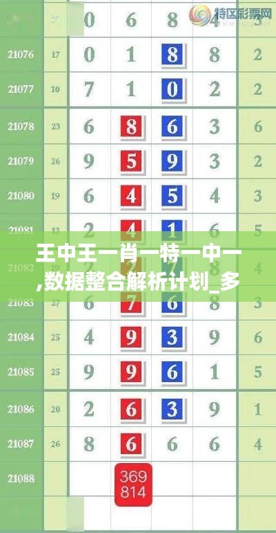 王中王一肖一特一中一,数据整合解析计划_多媒体版BZO16.41