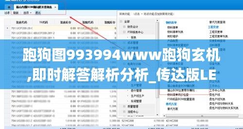 跑狗图993994www跑狗玄机,即时解答解析分析_传达版LEJ13.95