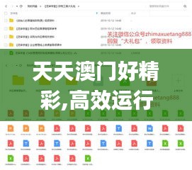 天天澳门好精彩,高效运行支持_结合版LXD16.85