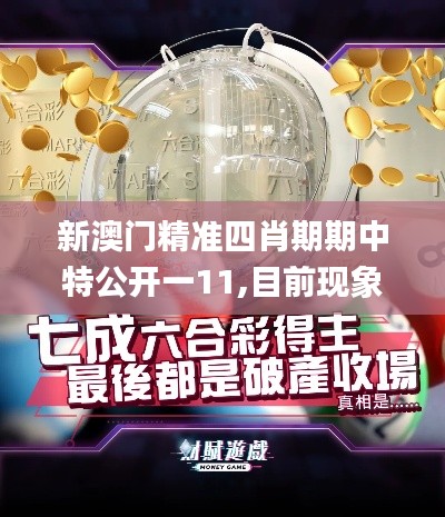 新澳门精准四肖期期中特公开一11,目前现象解析描述_云端版KWD16.1