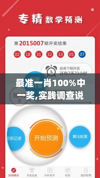最准一肖100%中一奖,实践调查说明_动画版WLS16.25