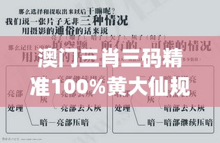 澳门三肖三码精准100%黄大仙规律肖,案例实证分析_工具版PST13.64