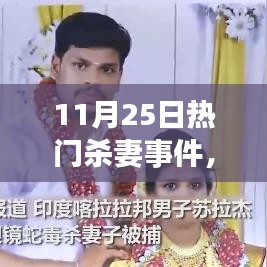 11月25日杀妻事件深度解析与观点阐述