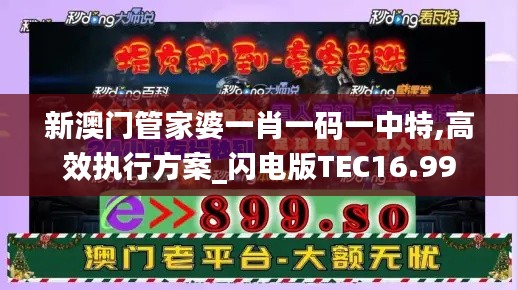 新澳门管家婆一肖一码一中特,高效执行方案_闪电版TEC16.99