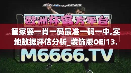 管家婆一肖一码最准一码一中,实地数据评估分析_装饰版OEI13.88