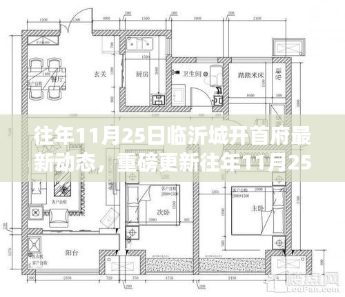 往年11月25日临沂城开首府最新动态揭秘