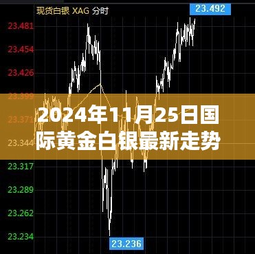 2024年11月25日国际黄金白银走势解析及最新动态