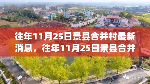 往年11月25日景县合并村动态更新，深度解析三大要点概览