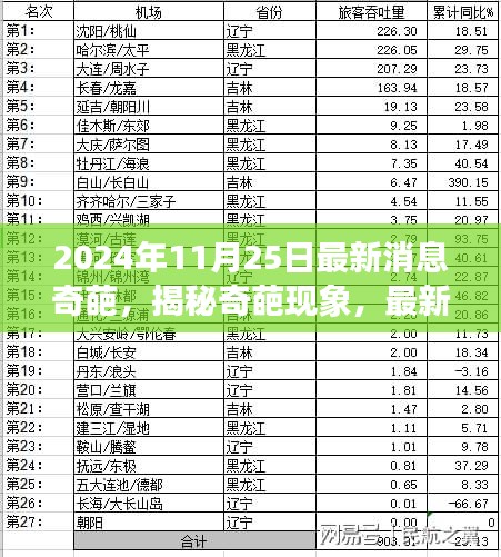 揭秘奇葩现象，深度解读最新消息与深度解读（2024年11月25日热点聚焦）