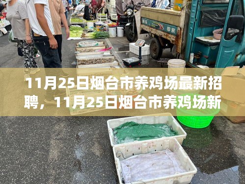 烟台市养鸡场最新招聘启事，从鸡舍走向成功之路，学习变化成就辉煌人生