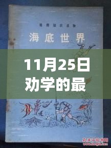 探秘小巷深处的知识绿洲，最新劝学之旅特别版（11月25日）