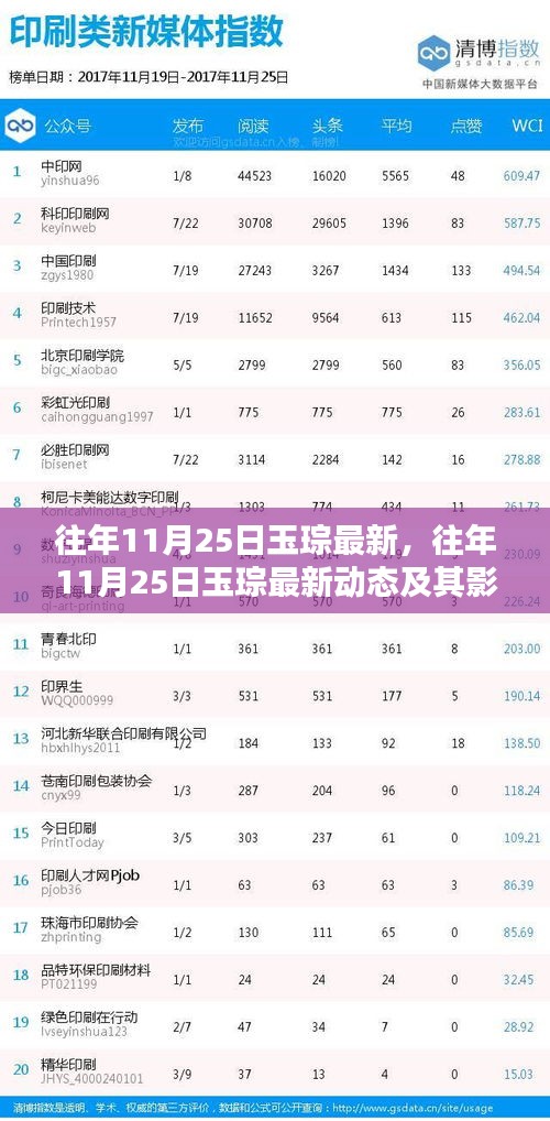 往年11月25日玉琮最新动态及其深度影响分析
