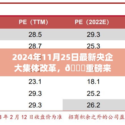 重磅来袭！2024年央企大集体改革深度解读，开启新征程
