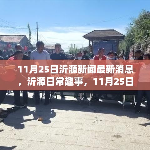 沂源新闻热点速递，温馨日常趣事与最新消息回顾（11月25日）
