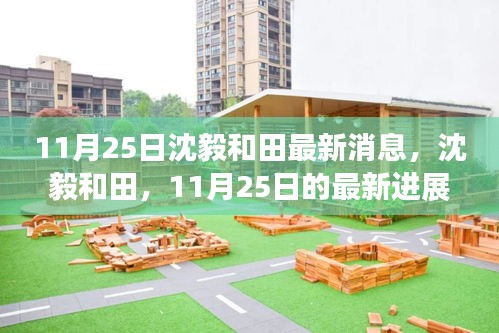 时代背景下的沈毅和田，最新进展与深度解读（11月25日更新）
