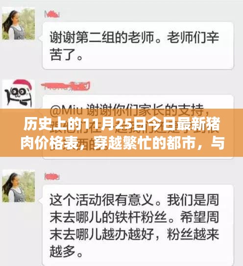 猪肉市场风云变幻，今日价格、都市探寻与心灵净土之旅