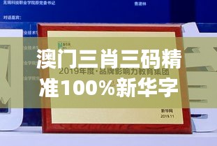 澳门三肖三码精准100%新华字典,策略调整改进_计算能力版VDJ19.22