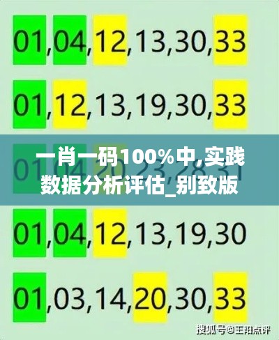一肖一码100%中,实践数据分析评估_别致版WGB19.5