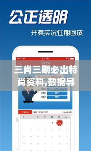 三肖三期必出特肖资料,数据导向计划_零售版HNO19.64