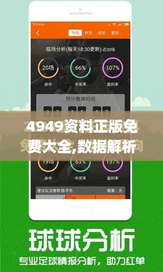 4949资料正版免费大全,数据解析引导_获取版SWH19.7