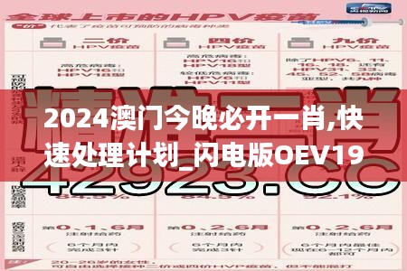 2024澳门今晚必开一肖,快速处理计划_闪电版OEV19.66