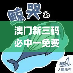 澳门新三码必中一免费,模糊评价法_旅行助手版YZF19.27