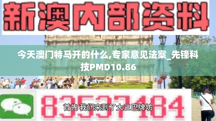 今天澳门特马开的什么,专家意见法案_先锋科技PMD10.86