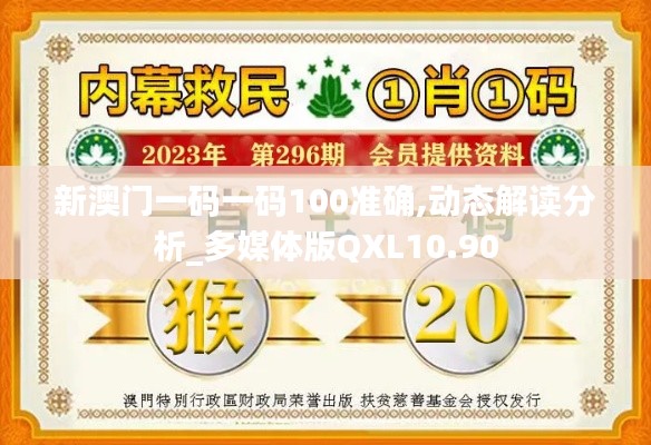 新澳门一码一码100准确,动态解读分析_多媒体版QXL10.90
