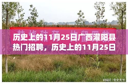 历史上的11月25日广西灌阳县热门招聘，历史上的11月25日广西灌阳县热门招聘深度评测