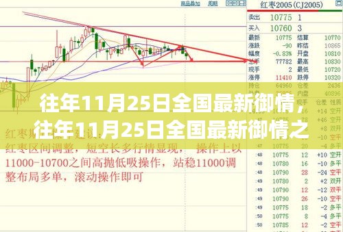 往年11月25日全国最新疫情防控动态及我的观察与见解