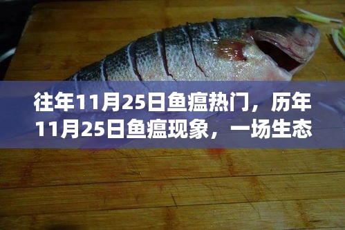 历年11月25日鱼瘟现象深度解析，生态与文化交汇的热点