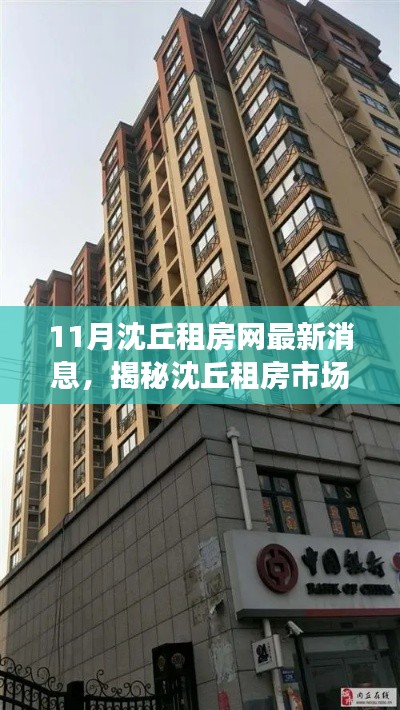 沈丘租房市场揭秘，最新动态与解读