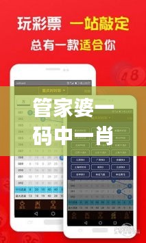 管家婆一码中一肖2024,深入探讨方案策略_高端体验版SPH19.92