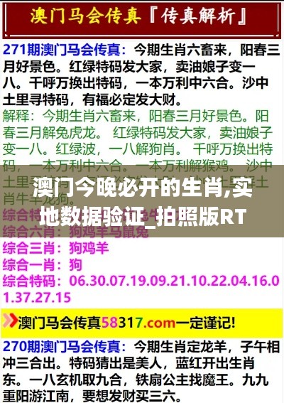 澳门今晚必开的生肖,实地数据验证_拍照版RTL19.91