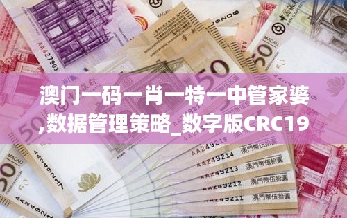 澳门一码一肖一特一中管家婆,数据管理策略_数字版CRC19.75