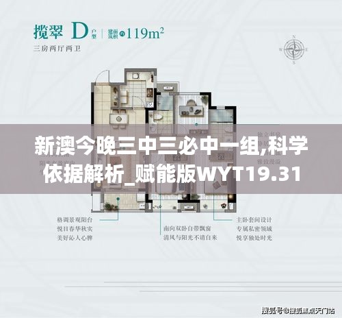 新澳今晚三中三必中一组,科学依据解析_赋能版WYT19.31