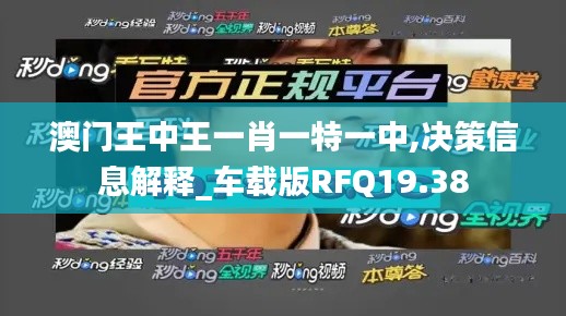 澳门王中王一肖一特一中,决策信息解释_车载版RFQ19.38