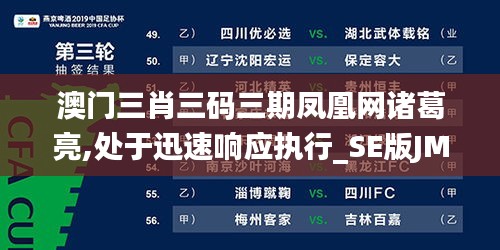 澳门三肖三码三期凤凰网诸葛亮,处于迅速响应执行_SE版JMY19.79