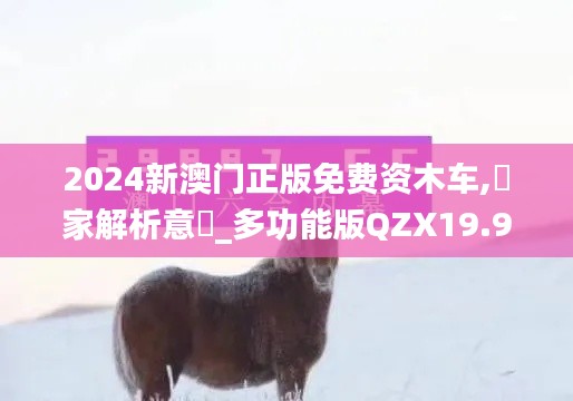 2024新澳门正版免费资木车,專家解析意見_多功能版QZX19.93