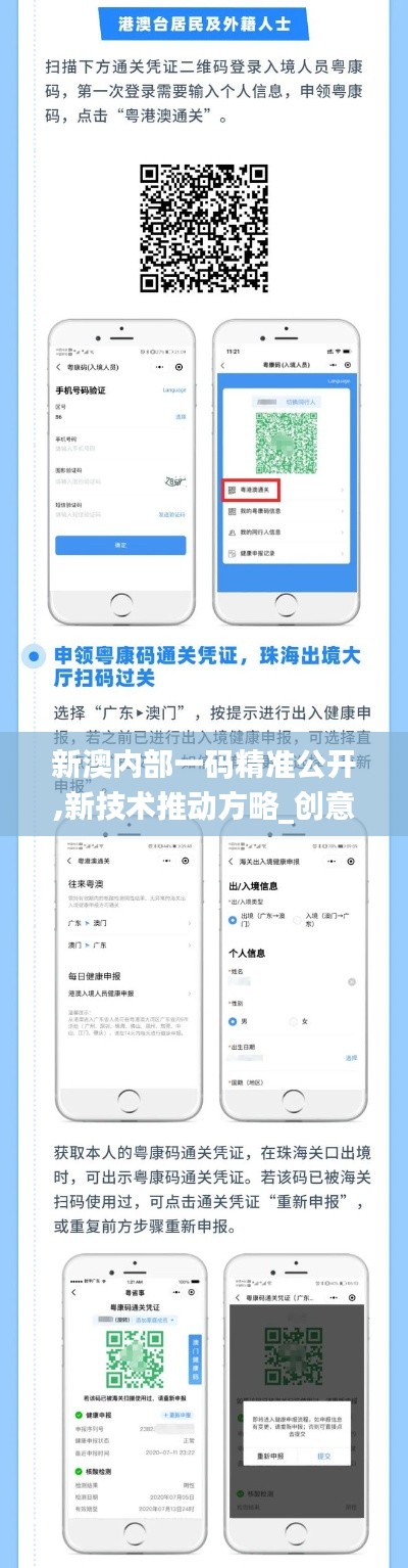 新澳内部一码精准公开,新技术推动方略_创意设计版SXO19.17