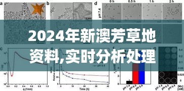 2024年新澳芳草地资料,实时分析处理_多功能版WHH19.69