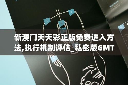 新澳门天天彩正版免费进入方法,执行机制评估_私密版GMT19.56