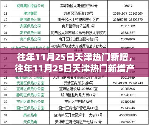 往年11月25日天津热门新增产品全面解析，特性、体验、竞品对比与用户洞察