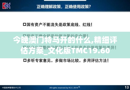 今晚澳门特马开的什么,精细评估方案_文化版TMC19.60