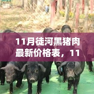 最新出炉！11月徒河黑猪肉价格表，揭示高品质猪肉价格走势