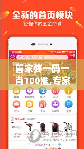 管家婆一码一肖100准,专家权威解答_计算能力版WLR10.48