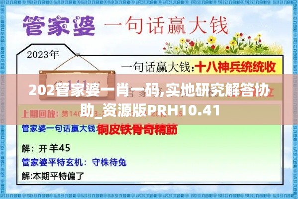 202管家婆一肖一码,实地研究解答协助_资源版PRH10.41